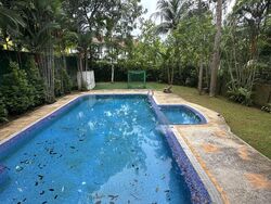 Leedon Park (D10), Detached #498095951